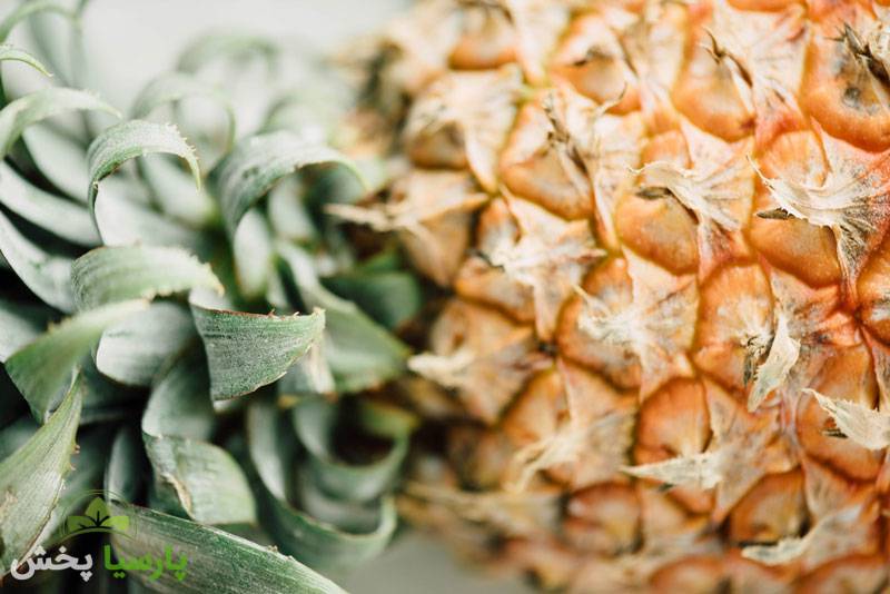 فواید آناناس خشک شده بر روی بدن