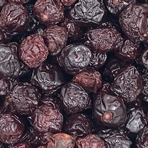 آلبالو ایرانی