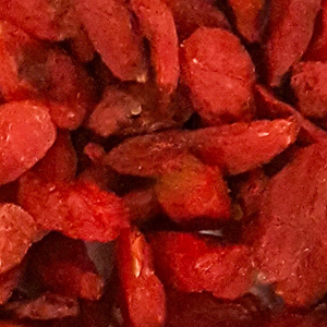 گوجی استوایی حبه