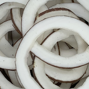 نارگیل خشک اسلایس